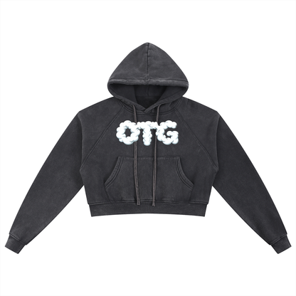 Snow Washed Cropped Hoodie
